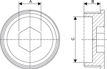 Plug Stainless Steel  Metric Thread (SS316L)			