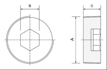 Plug Stainless Steel  NPT Thread (SS316L)			
