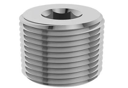Plug Stainless Steel  NPT Thread (SS316L)			