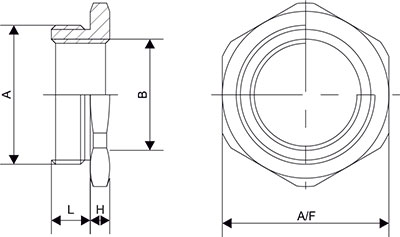 Reducer Brass Nickle Plated (BNP) (Metric to Metric Thread) 				