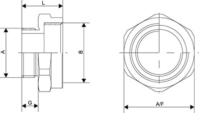 Adaptor Brass Nickle Plated (BNP) (Metric to NPT)		