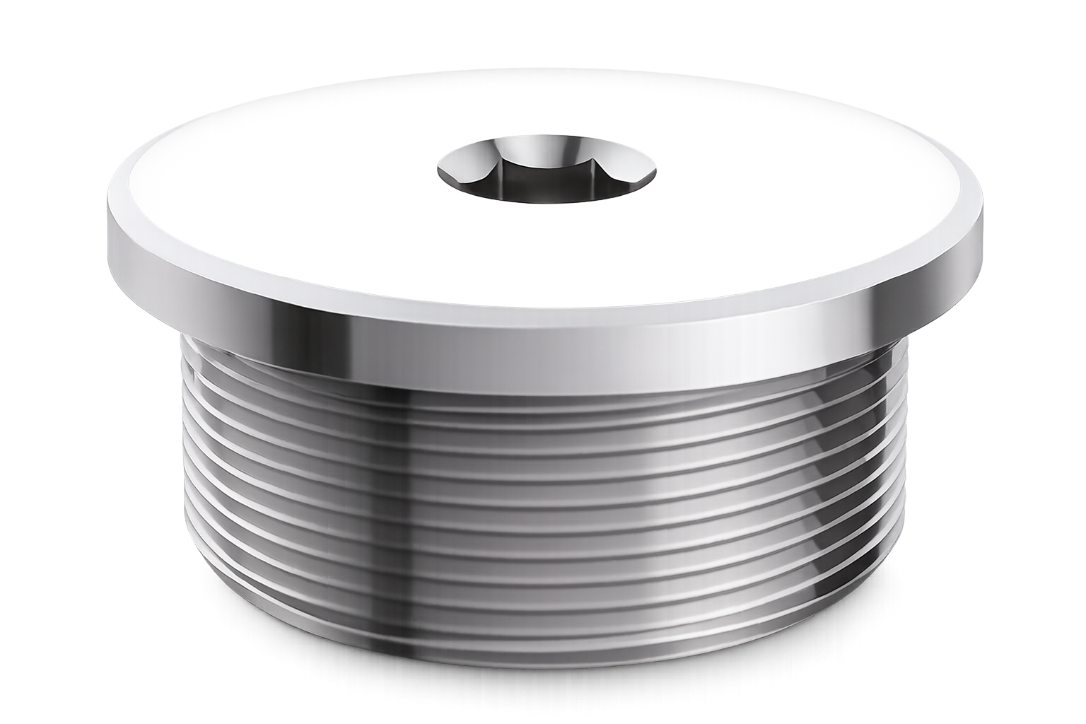Plug Brass Nickle Plated  Metric Thread (BNP)			
