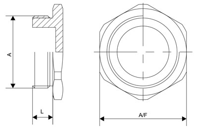 Hexagon Head Stopping Plug Brass Nickle Plated NPT Thread (BNP)